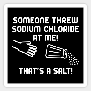 Sodium Chloride Magnet